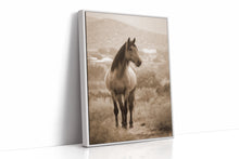 Load image into Gallery viewer, In the Embrace of Distant Hills