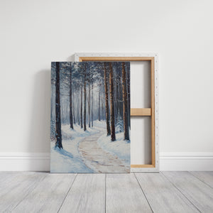 A Path Through Winter's Embrace