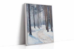A Path Through Winter's Embrace