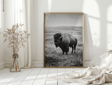 Load image into Gallery viewer, Ancient Presence