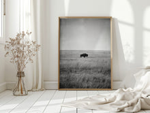 Load image into Gallery viewer, Solitary Grace