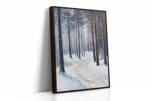A Path Through Winter's Embrace