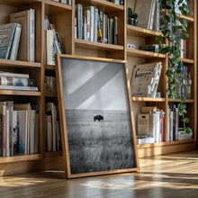 Load image into Gallery viewer, Solitary Grace