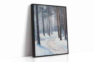A Path Through Winter's Embrace