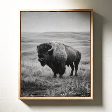Load image into Gallery viewer, Ancient Presence