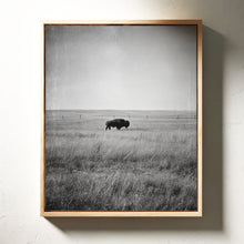 Load image into Gallery viewer, Solitary Grace