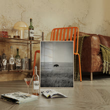Load image into Gallery viewer, Solitary Grace