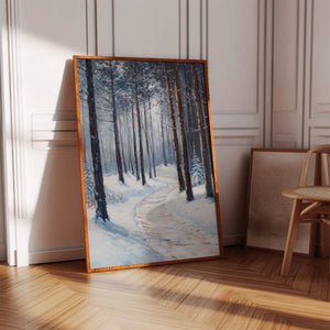 A Path Through Winter's Embrace