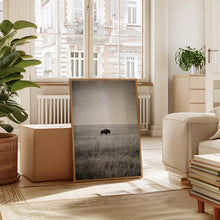 Load image into Gallery viewer, Solitary Grace