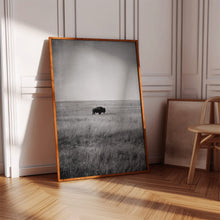 Load image into Gallery viewer, Solitary Grace