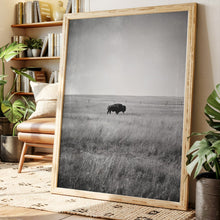 Load image into Gallery viewer, Solitary Grace