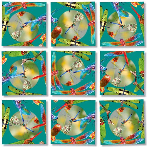 Dragonflies Scramble Squares