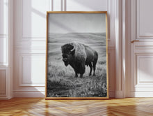 Load image into Gallery viewer, Ancient Presence