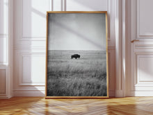 Load image into Gallery viewer, Solitary Grace