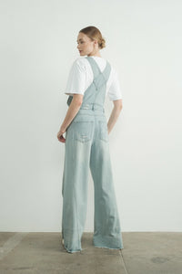 Pants - Aaron & Amber Denim Overalls-$60