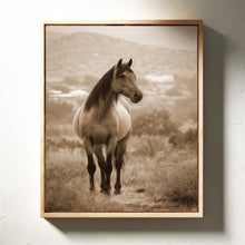 Load image into Gallery viewer, In the Embrace of Distant Hills