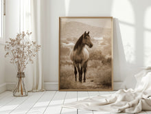 Load image into Gallery viewer, In the Embrace of Distant Hills