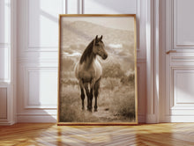 Load image into Gallery viewer, In the Embrace of Distant Hills