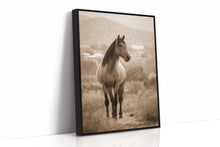 Load image into Gallery viewer, In the Embrace of Distant Hills