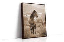 Load image into Gallery viewer, In the Embrace of Distant Hills
