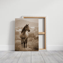 Load image into Gallery viewer, In the Embrace of Distant Hills